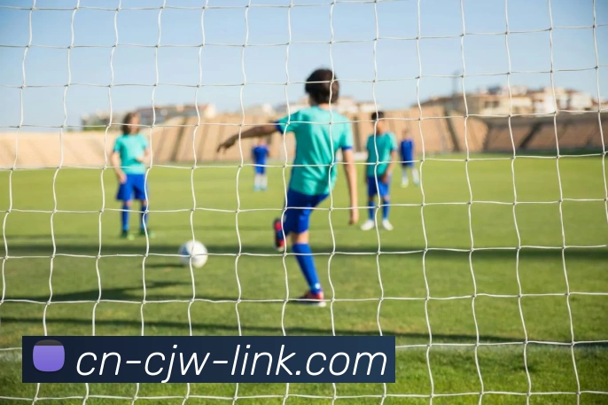 彩经网APP 高清赛事图